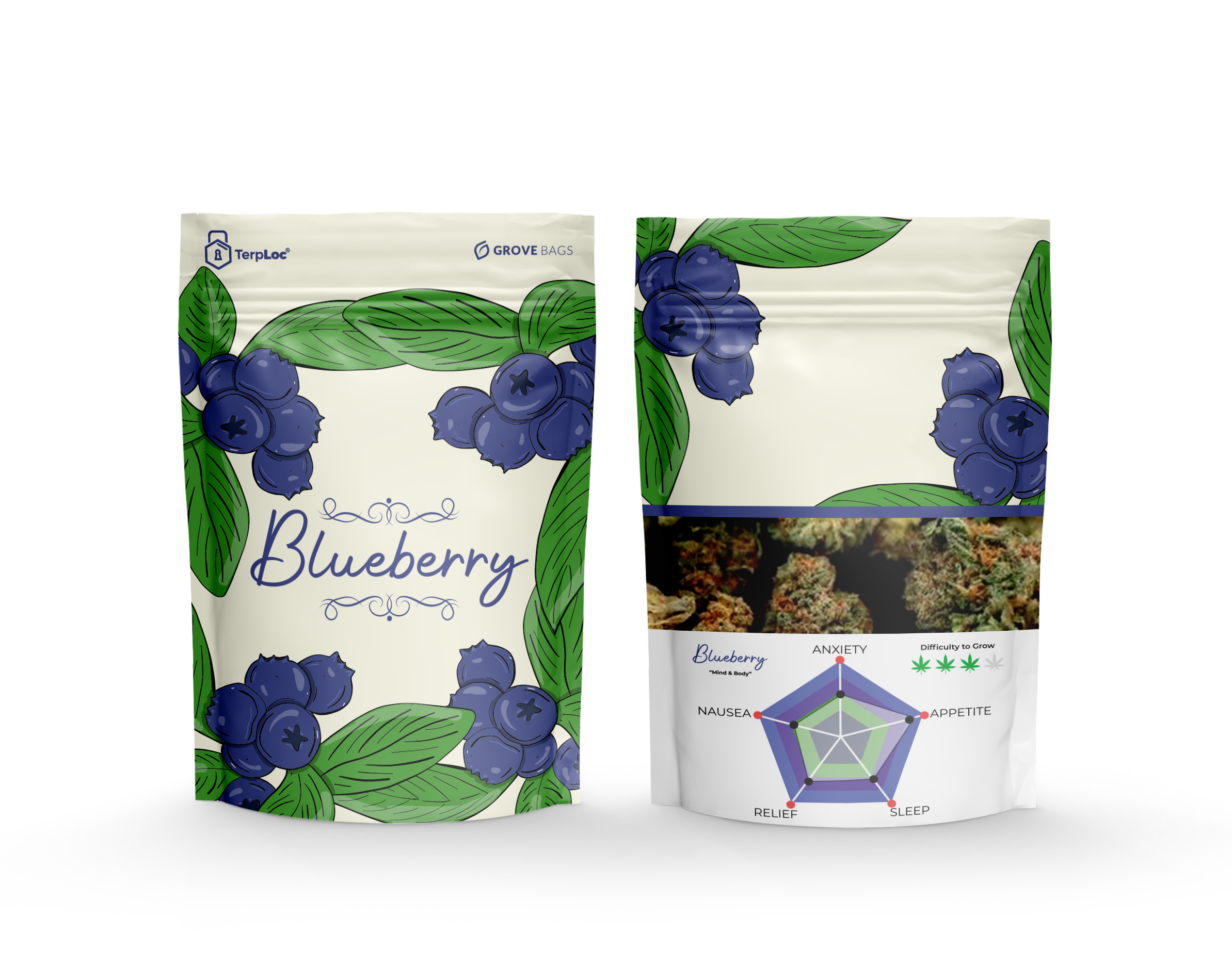 Benefits Blueberry and Aloe Herbal Tea - Case of 6 boxes- total of 108  teabags – Bigelow Tea